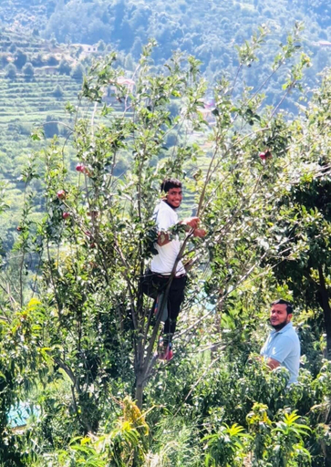 Others 4, OmVilla With Mountain View, Nainital