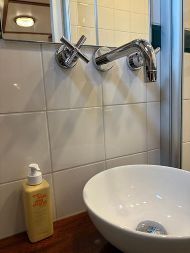 Bathroom 5, Hotelboot Zwaan, Amsterdam