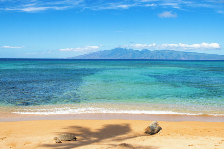 Others 2, Hale Mahina B304, Maui
