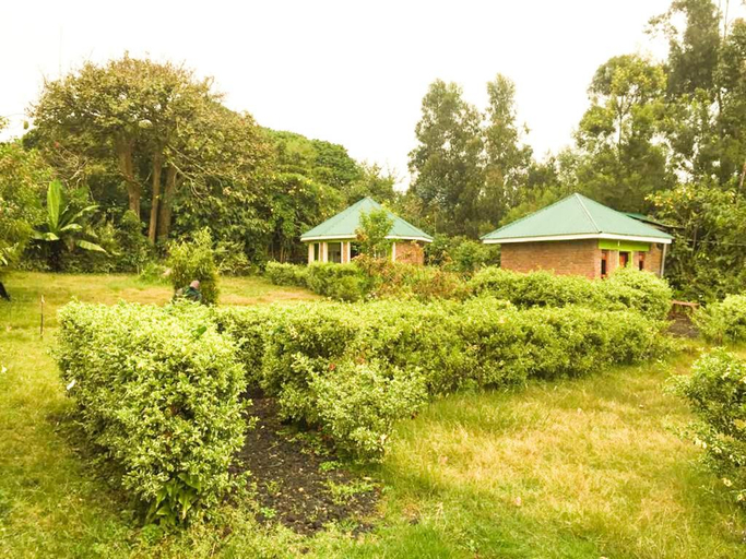 Others 3, Amajambere Iwacu Community Camp, Kisoro