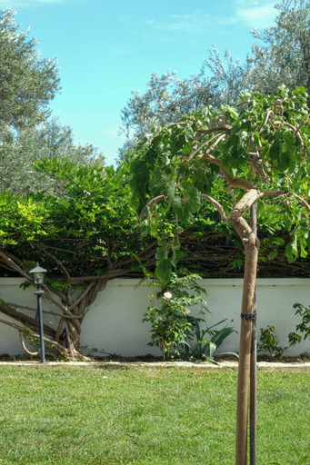 Others 3, Ergül Motel, Ayvacık