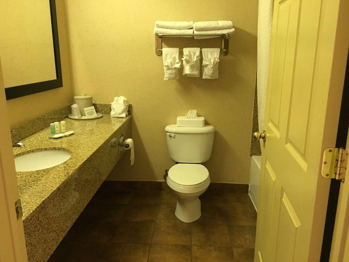Bathroom 5, Comfort Inn, Madison