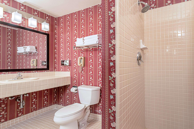 Bathroom 4, Clarion Inn Silicon Valley, Santa Clara
