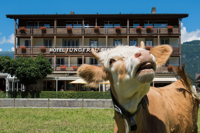 Exterior & Views 2, Jungfrau Hotel, Interlaken