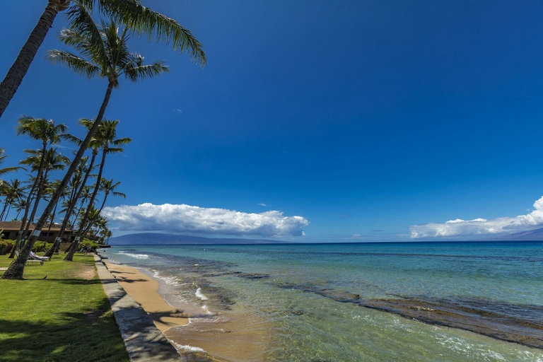 Others 3, Paki Maui 103, Maui