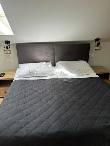 Others 2, Apartamenty Sw Stanislawa, Skierniewice