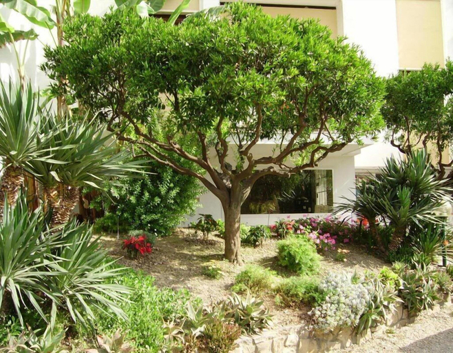 Others 4, Residence La Carruba, Imperia