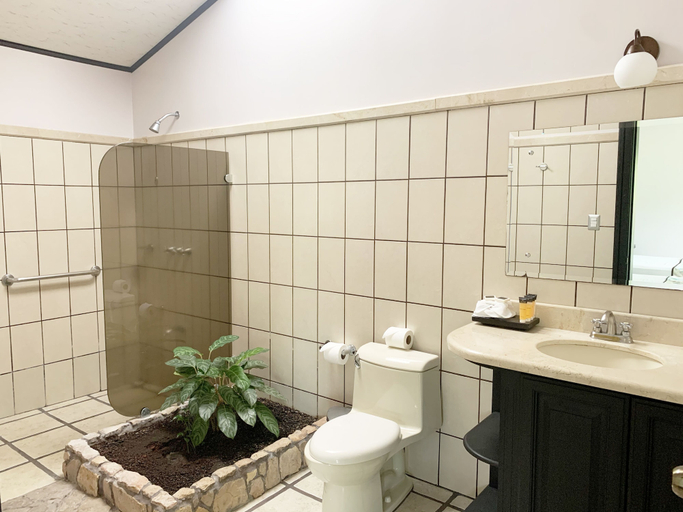 Bathroom 4, Arenal Manoa & Hot Springs Resort, San Carlos