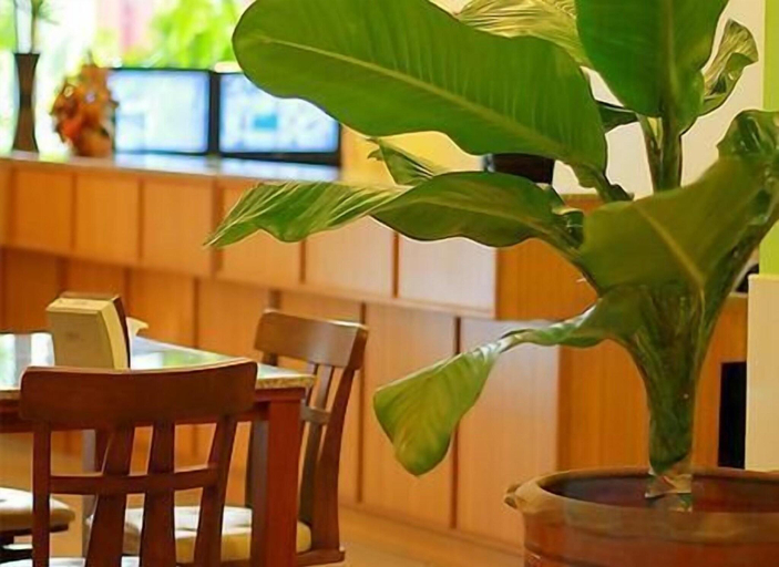 Food & Drinks 5, Cozy Villa, Ratchathewi