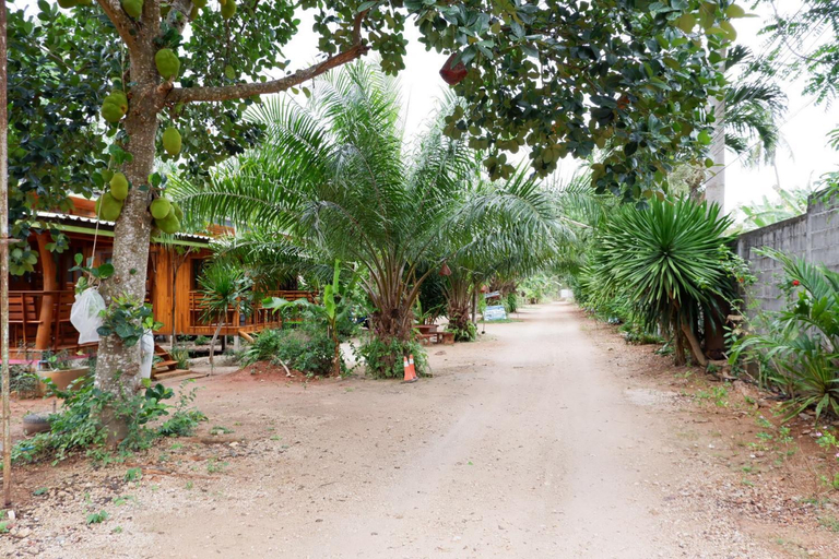 Others 5, Baansuan Resort, Don Sak