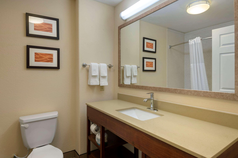 Bathroom 4, Comfort Inn & Suites, Odessa I-20, Ector