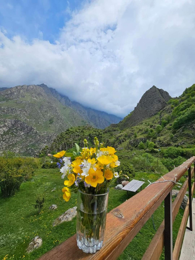 Others 2, Off inn Kazbegi, Kazbegi