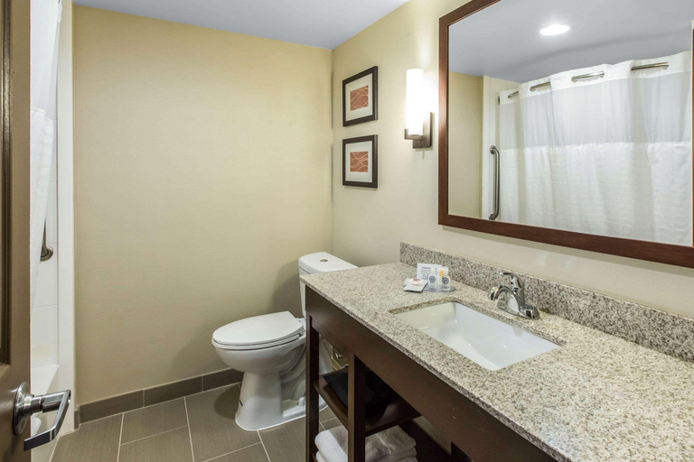 Bathroom 5, Comfort Inn & Suites Knoxville West, Knox