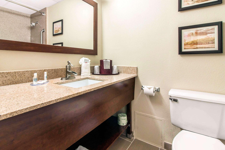 Bathroom 4, Comfort Inn & Suites Omaha Central, Douglas