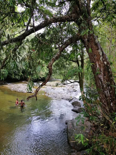 Others 5, Makeliya Jungle & Waterfall Tour, Palindanuwara