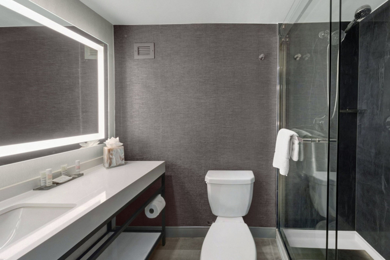 Bathroom 4, Houston Marriott North, Houston