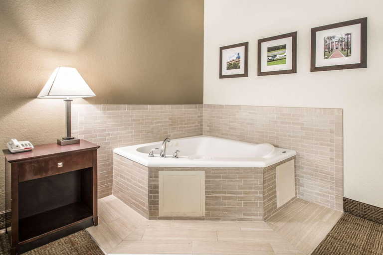 Bathroom 4, Comfort Inn & Suites Deland - Near University, Volusia
