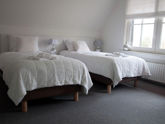 Others 5, Mansion in Nijensleek with Sauna Garden, Westerveld
