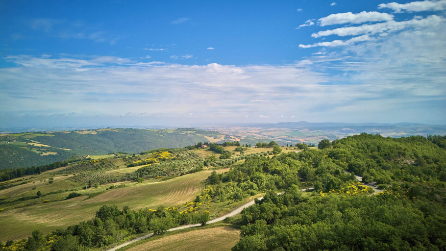 Others 5, Agriturismo Le Case, Siena