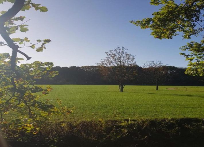 View from property 2, Chic Thatched-roof Stay, Baarle-Nassau