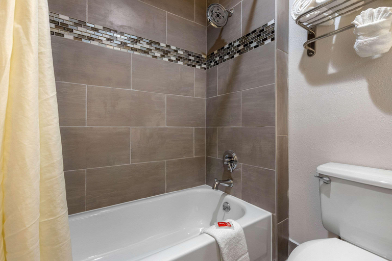 Bathroom 4, Econo Lodge At The University, Horry