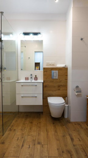 Bathroom 2, Luksusowy apartament ze SPA, Środa Śląska