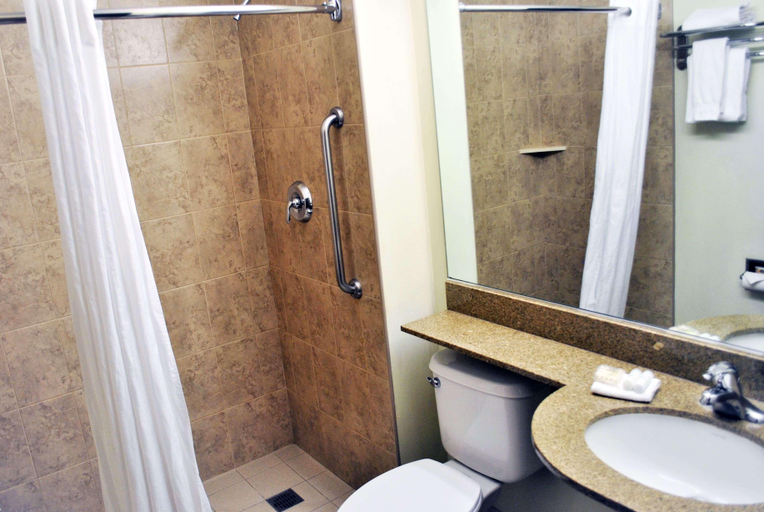 Bathroom 3, Microtel Inn & Suites by Wyndham Toluca, Toluca