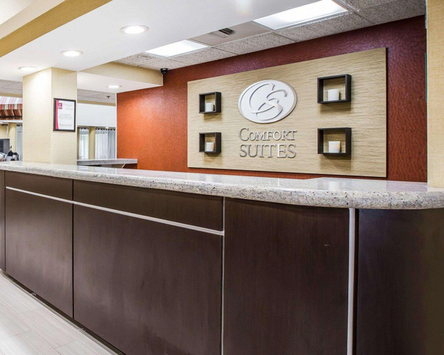 Public Area 2, Comfort Suites Anderson-Clemson, Anderson