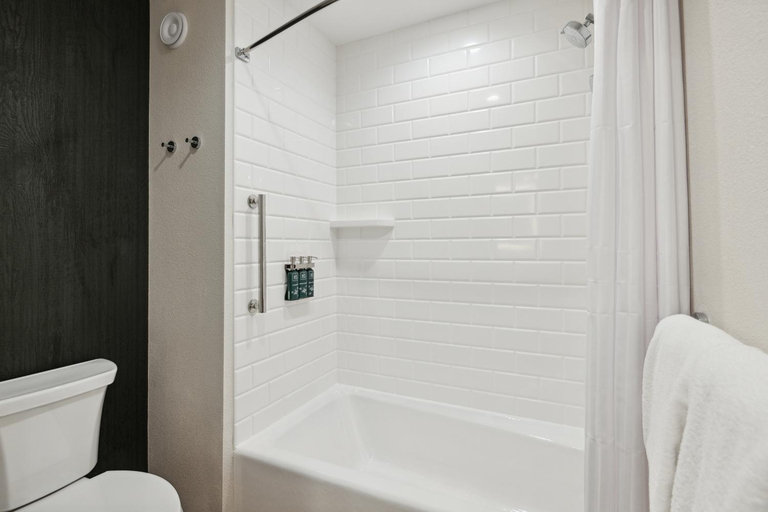 Bathroom 5, Dollywood's HeartSong Lodge & Resort, Sevier