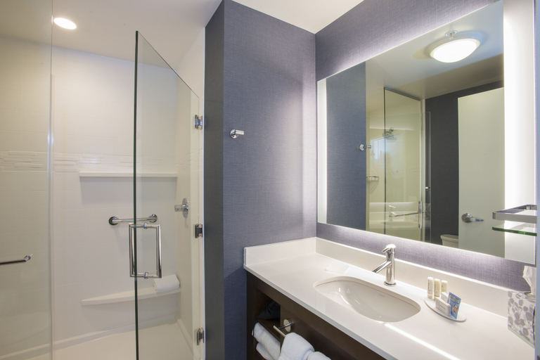 Bathroom 5, Residence Inn by Marriott Des Moines Ankeny, Polk