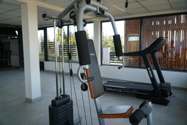 Others 5, Alpine Blu - Horezu - Varful lui Roman - Sauna, Hot Tub & Gym, Vaideeni