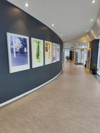 Public Area 3, Storebælt Sinatur Hotel & Konference, Nyborg
