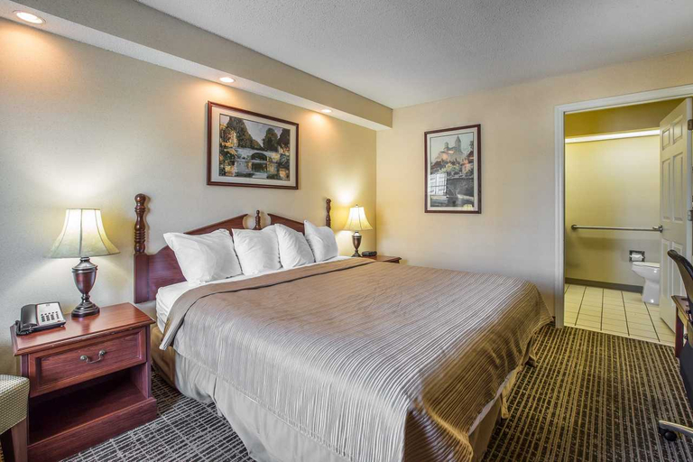 Bedroom 3, Quality Inn Oxford I-20 exit 188, Calhoun
