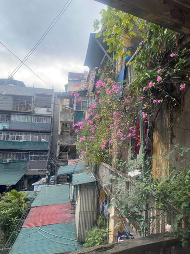 Others 2, Ngoc Ha, Ba Đình