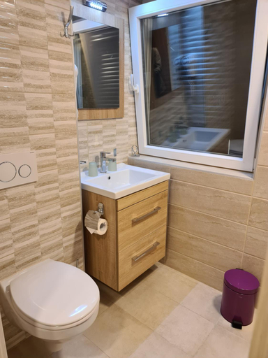 Bathroom 4, Helvetia, Schwyz