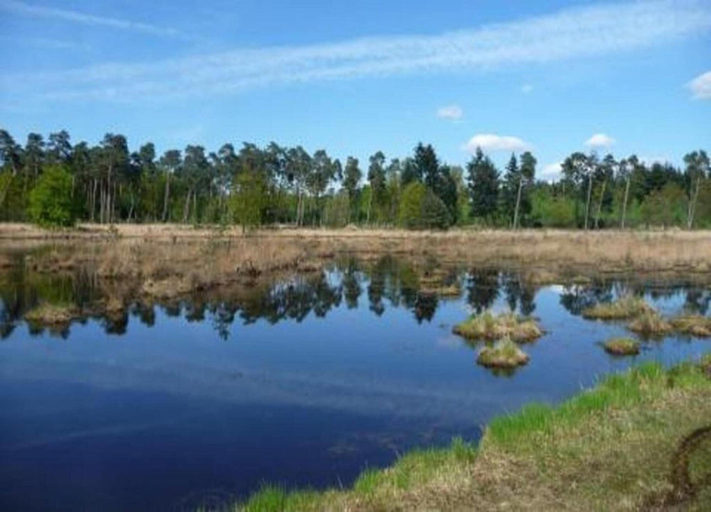 View from property 4, Villa in Parc de Kievit With Garden & Fireplace, Baarle-Nassau