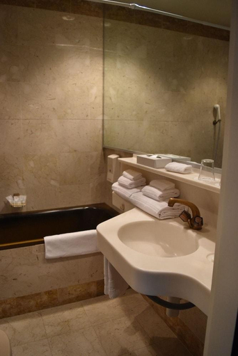 Bathroom 3, Hotel Fleur-de-Lys, La Chaux-de-Fonds