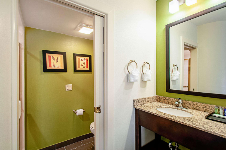Bathroom 4, Garner Hotel FREDERICK SOUTHEAST by IHG, Frederick
