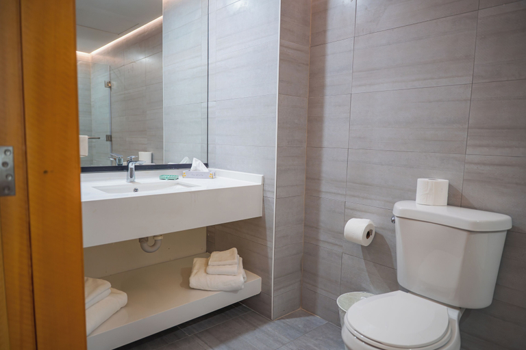 Bathroom 4, GALAXY HOTEL, Pinellas