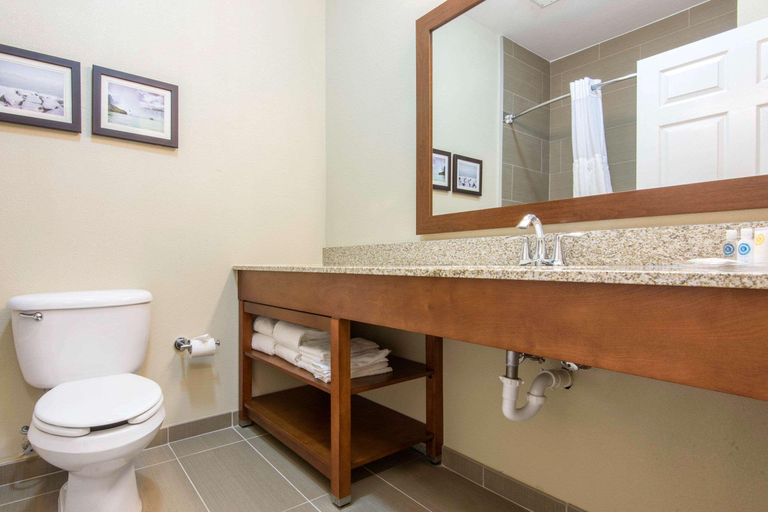 Bathroom 5, Comfort Suites Rochester Henrietta University Area, Monroe