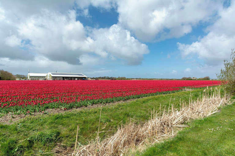 View from property, Yperhof 66 Holiday Home for 6 Guests on Cost, Den Helder