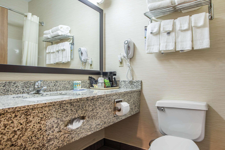 Bathroom 4, Quality Inn & Suites Bloomington I-55 And I-74, McLean