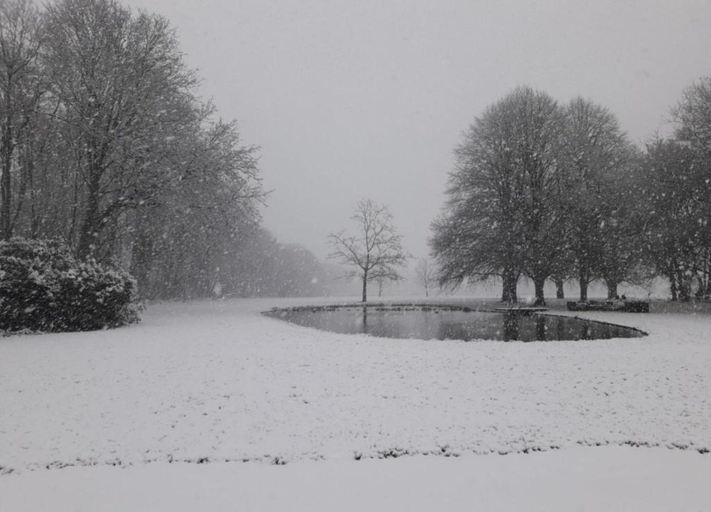 View from property 4, Chic Thatched-roof Stay, Baarle-Nassau