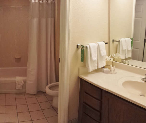 Bathroom 3, TownePlace Suites by Marriott Orlando East/UCF Area, Orange