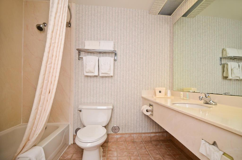 Bathroom 4, Comfort Inn Bordentown Area, Burlington