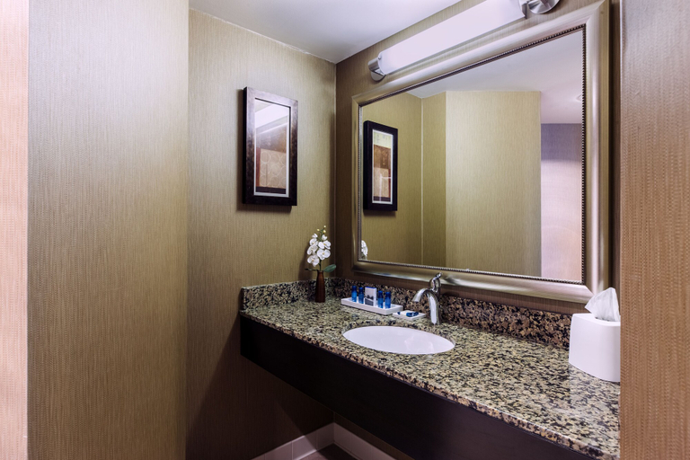 Bathroom 3, Delta Hotels by Marriott Fargo, Cass
