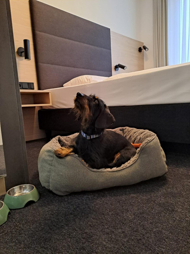 Bedroom, Hotel & Apart4you, Erding
