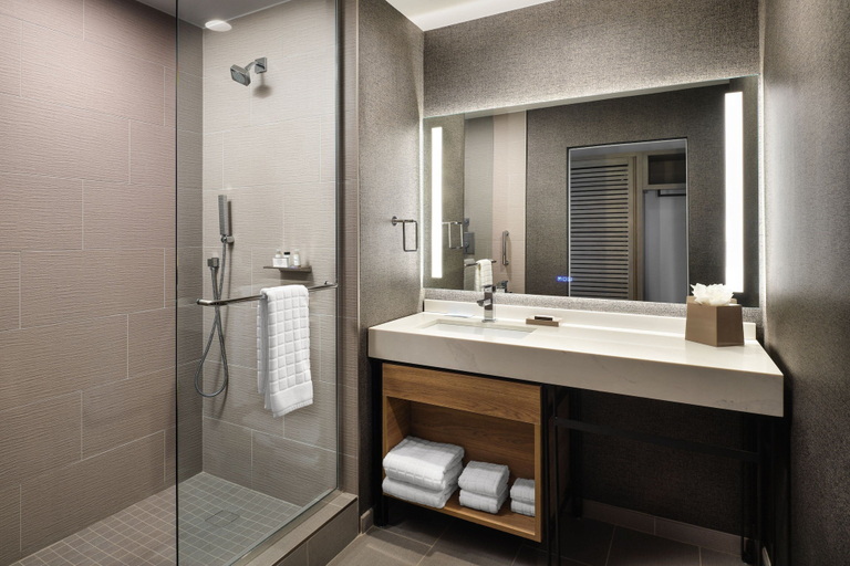 Bathroom 5, Sheraton Flowood The Refuge Hotel & Conference Center, Rankin