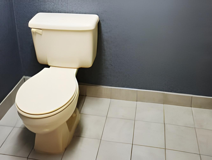 Bathroom 4, Vittoria Hotel & Suites, Niagara