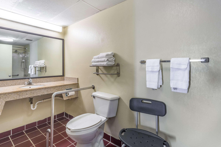 Bathroom 4, Econo Lodge & Suites Clarksville, Montgomery